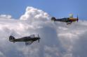 Rick Volker Air Shows